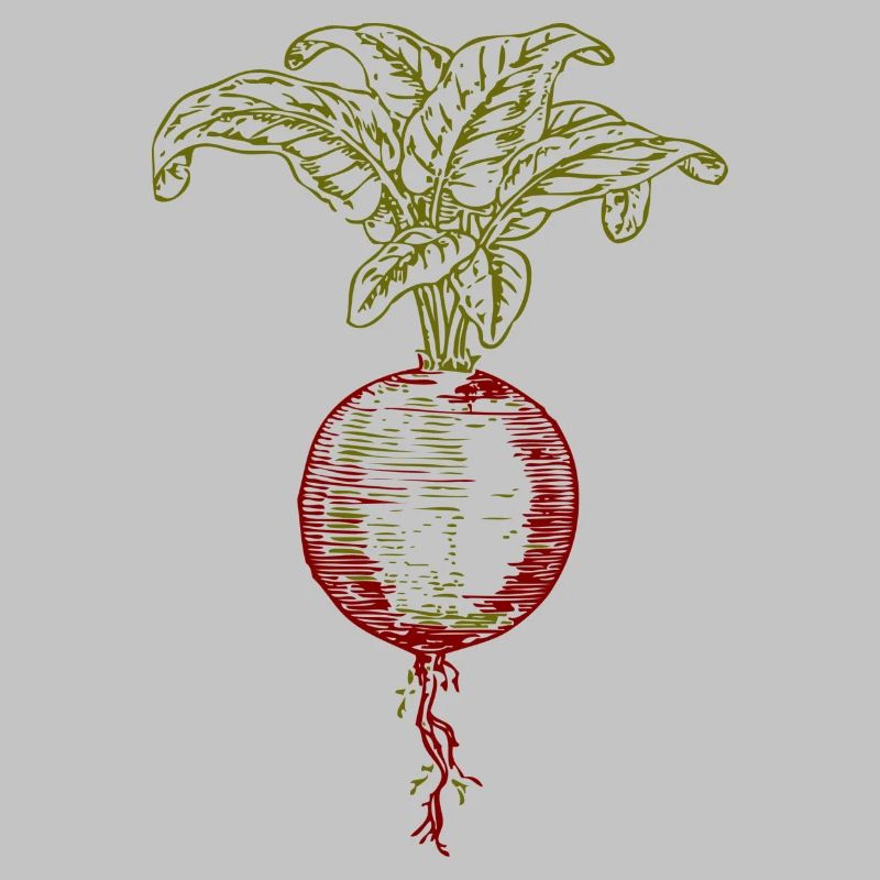 ruebe rueben beet turnip veggie vegetables vegetables