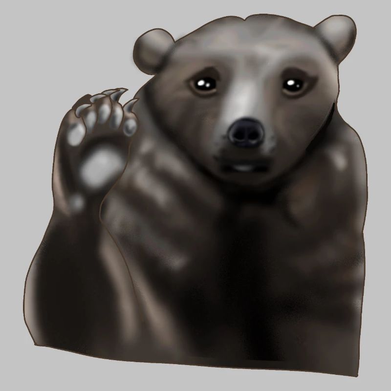 Ours brun