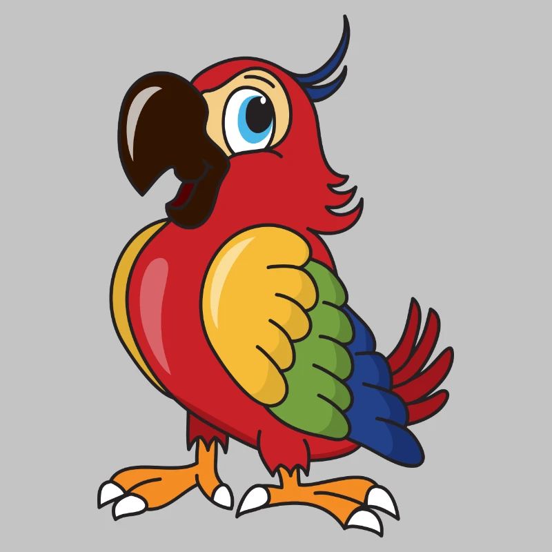 Oiseaux oiseaux perroquet