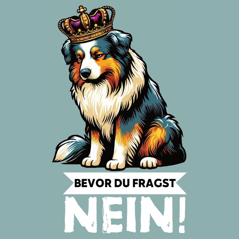 Bevor Du Fragst Australian Shepherd Aussie Aussie