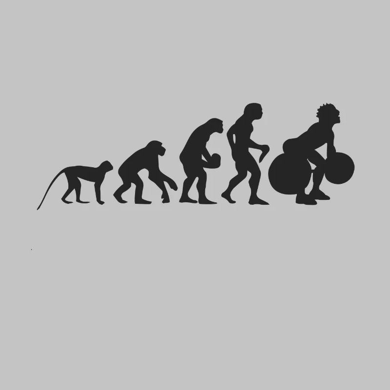 Evolution Gewichtheben