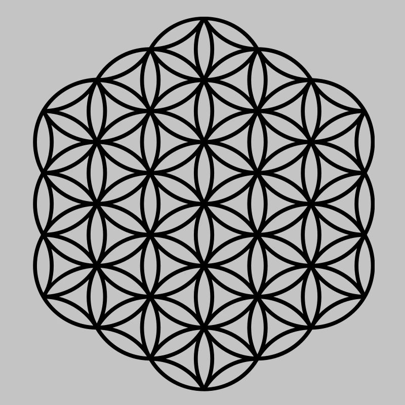 Fleur de la vie - Hexagon