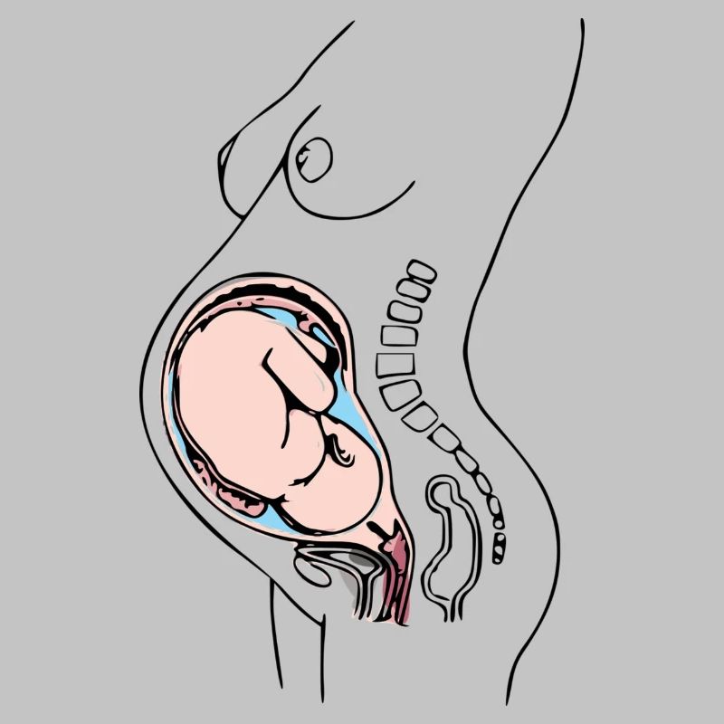 enceinte