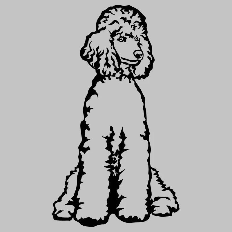 Caniche