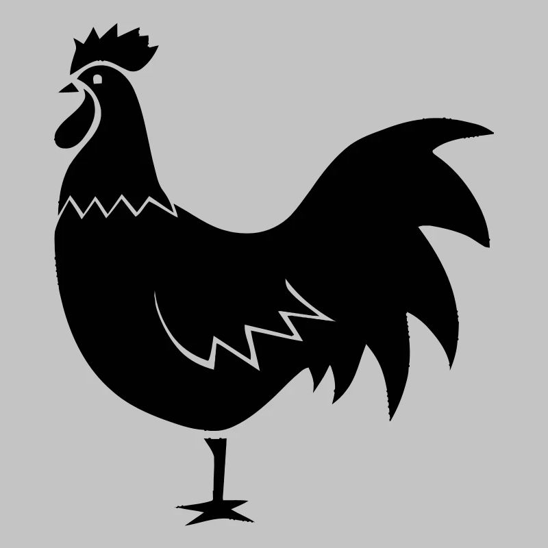 Coq - Poule