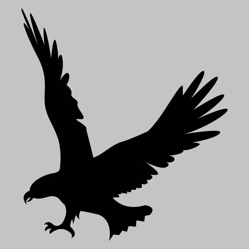 aigle-attaque