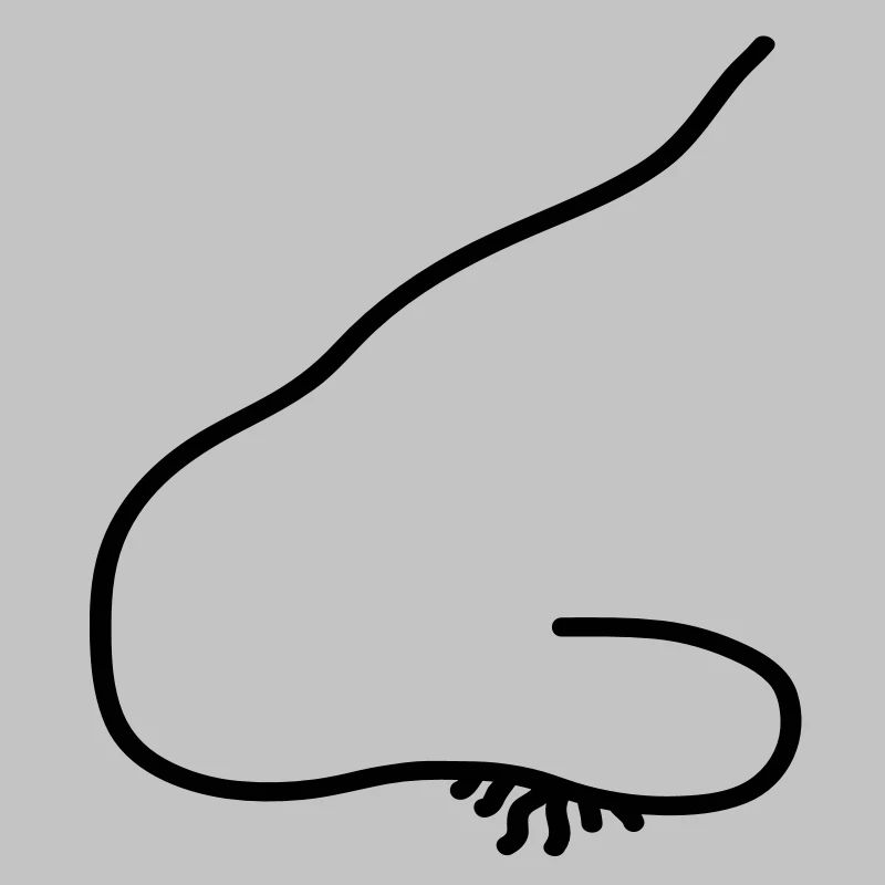 nose