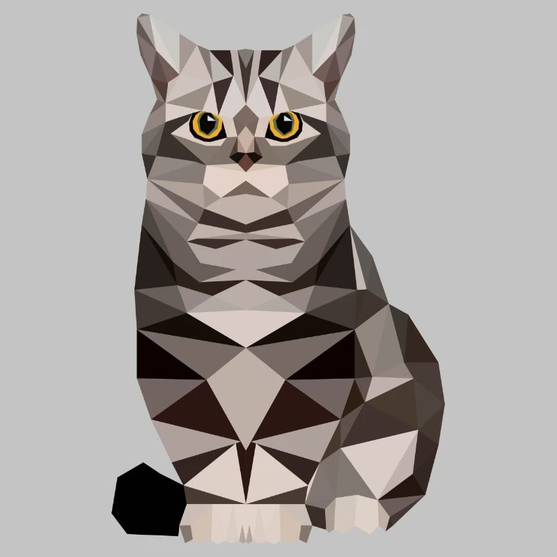 polygone maison chat chaton chat