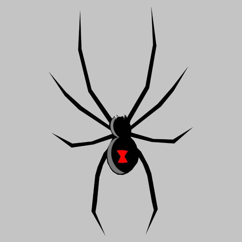 spid 48