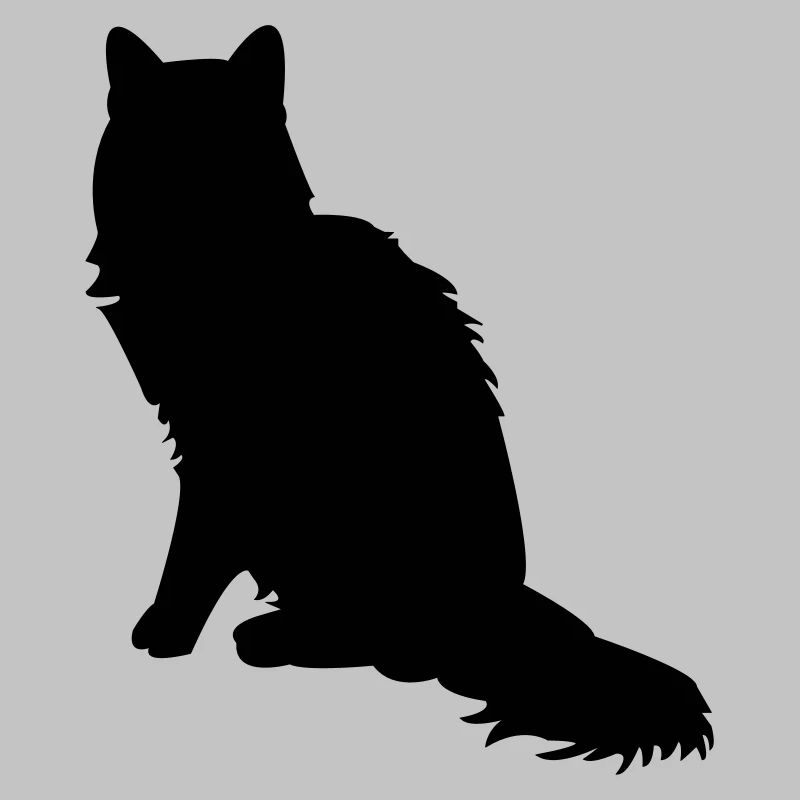 Maine Coon