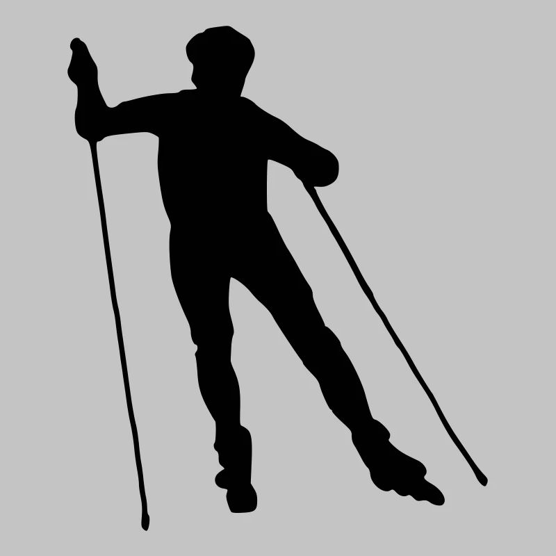 nordic skating
