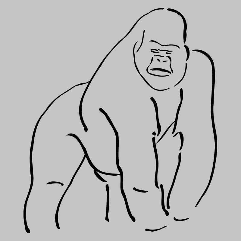 Collection singes