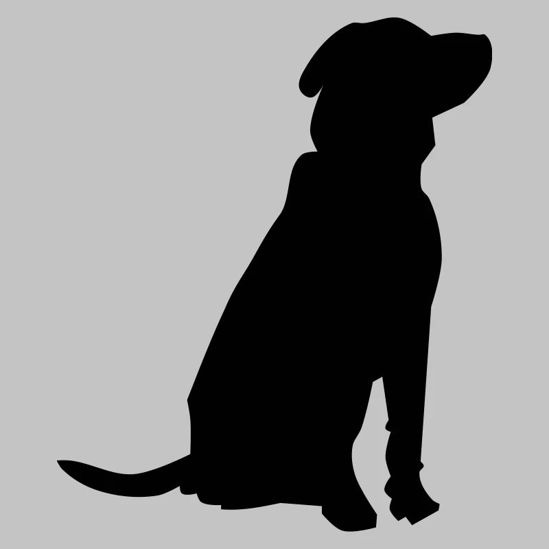 pet dog