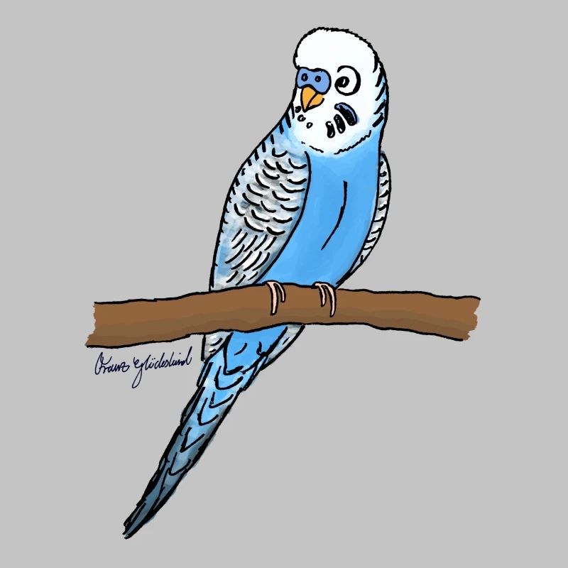 Blauer Wellensittich