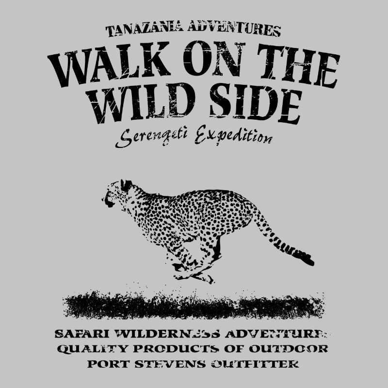 Walk on the wild side - Gepard