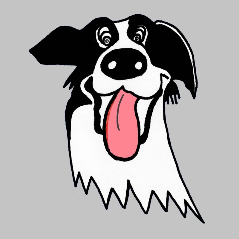 Netter Border Collie