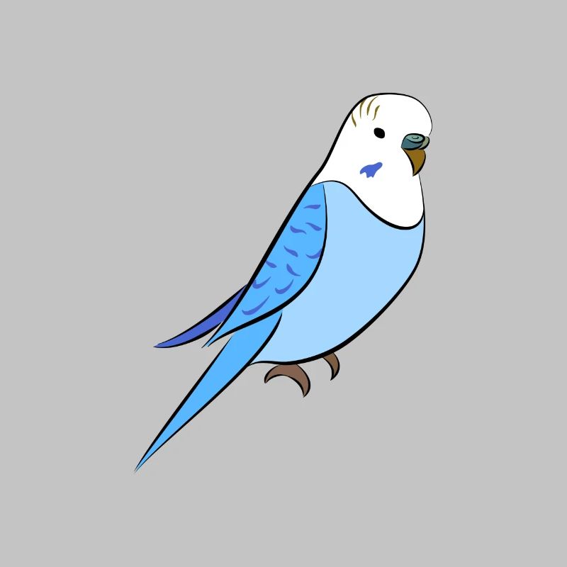 perruche bleu