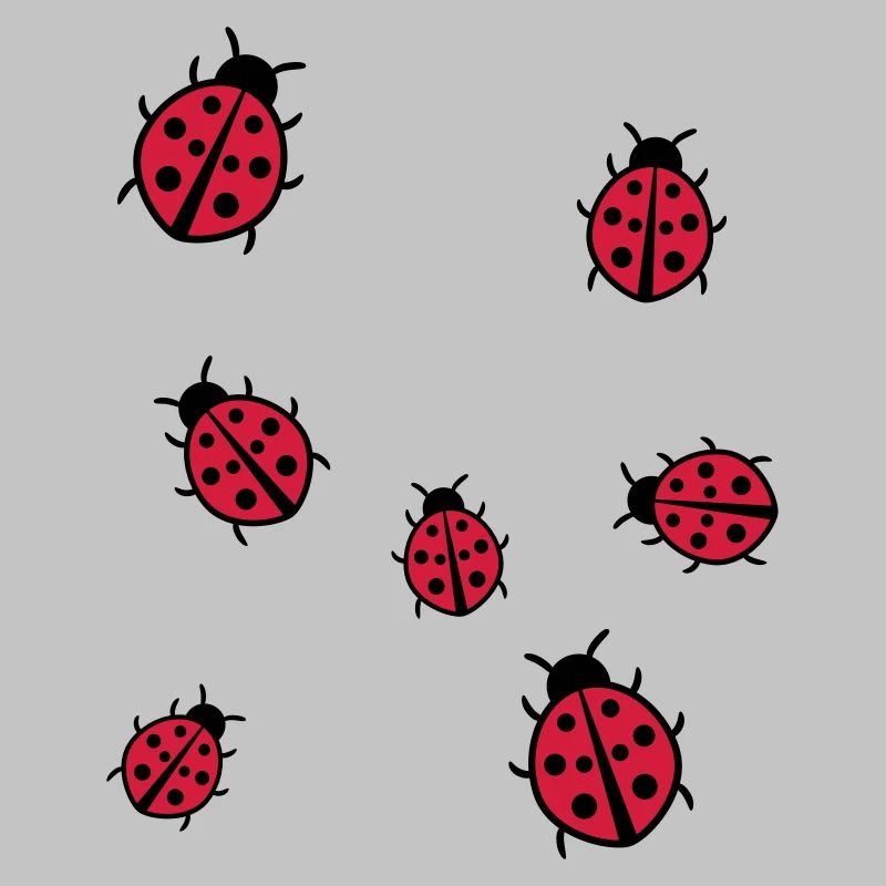 Petite Coccinelle