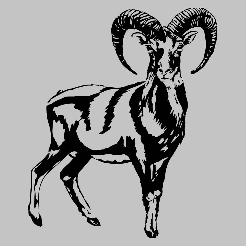Mouflon