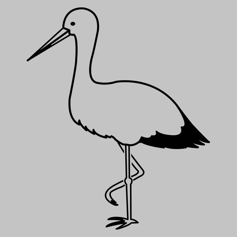 storch_1