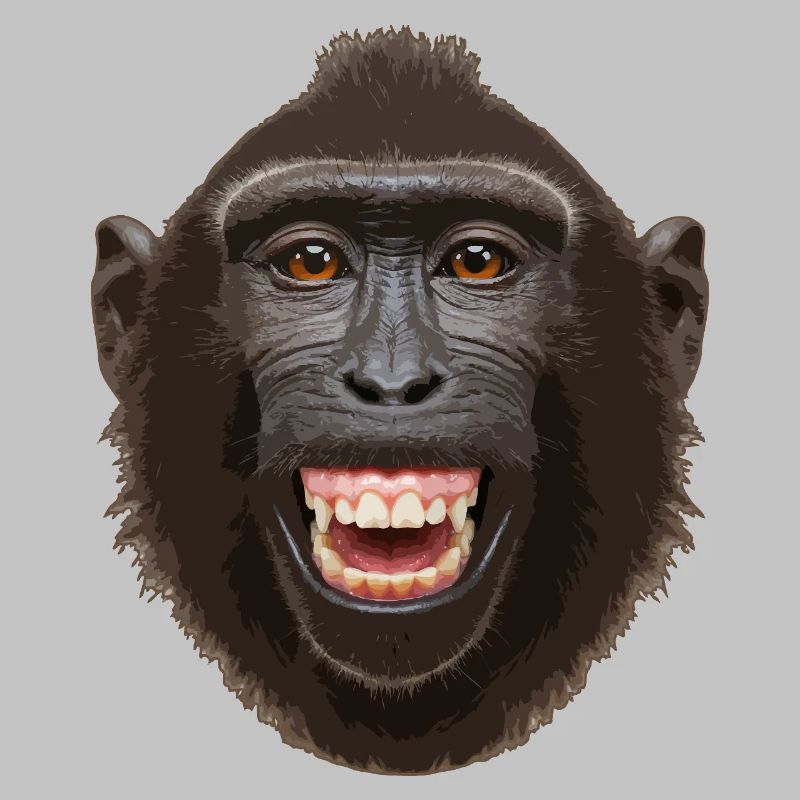 Monkey head