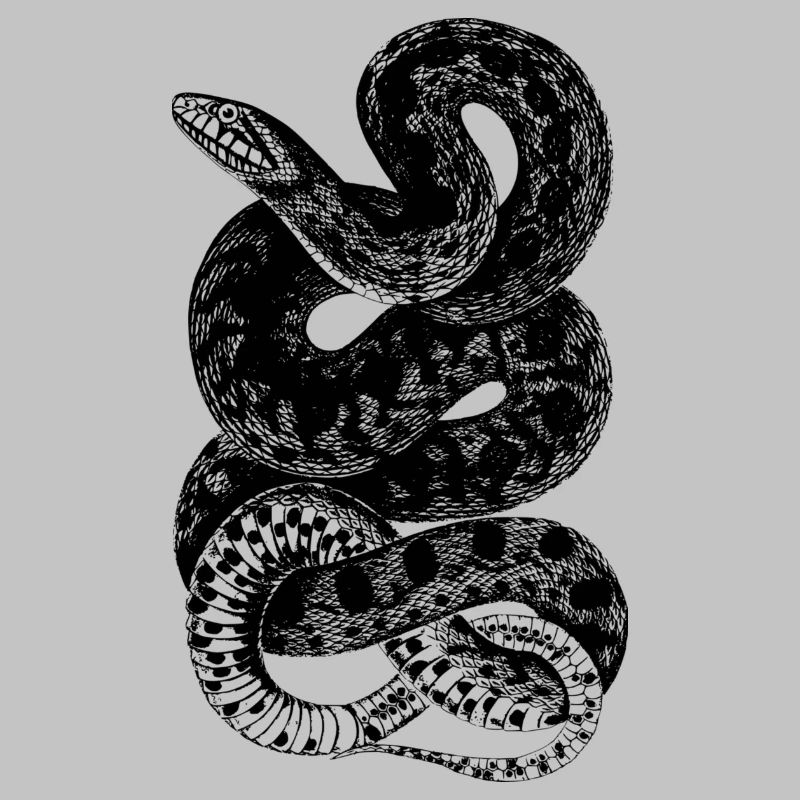 serpent