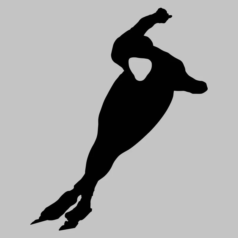 skater, skating