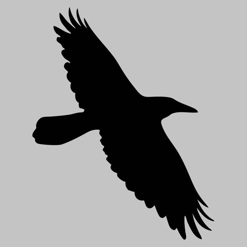 Krähe Rabe Corvus Vogel im Flug