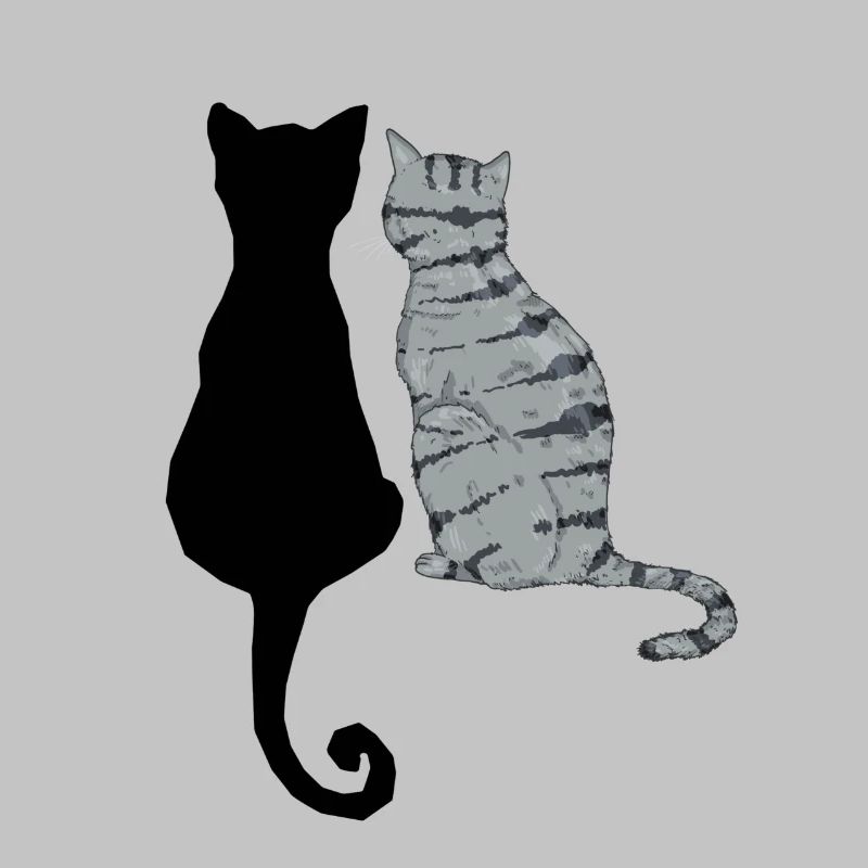 Chats noir et gris