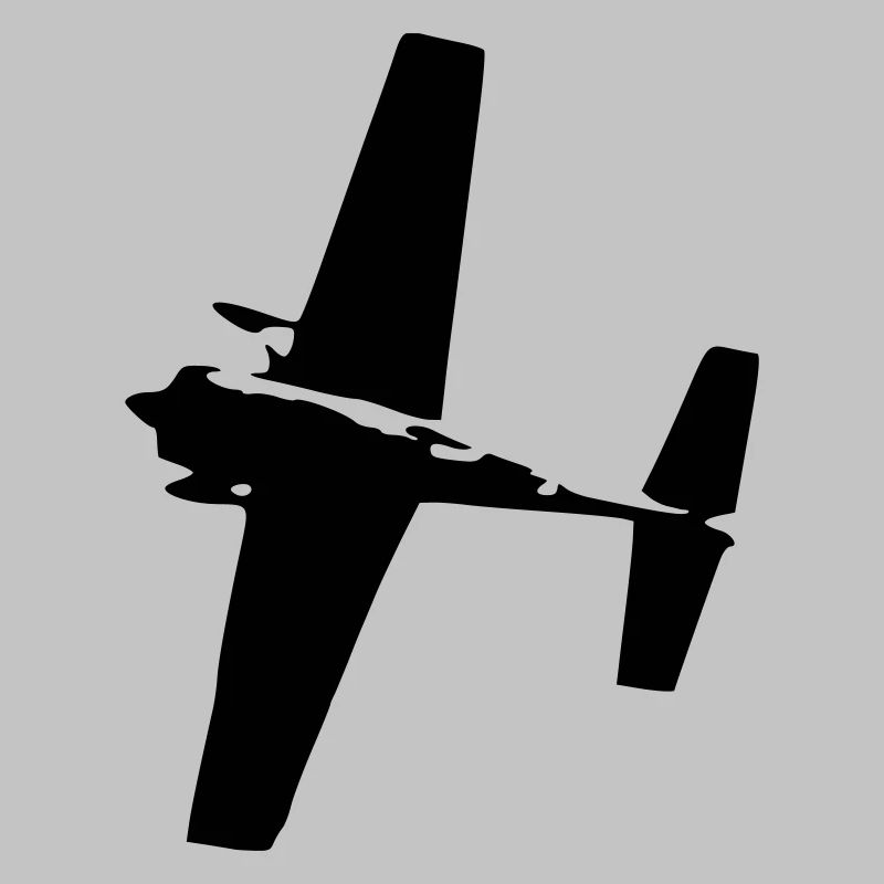 Airrace Flieger