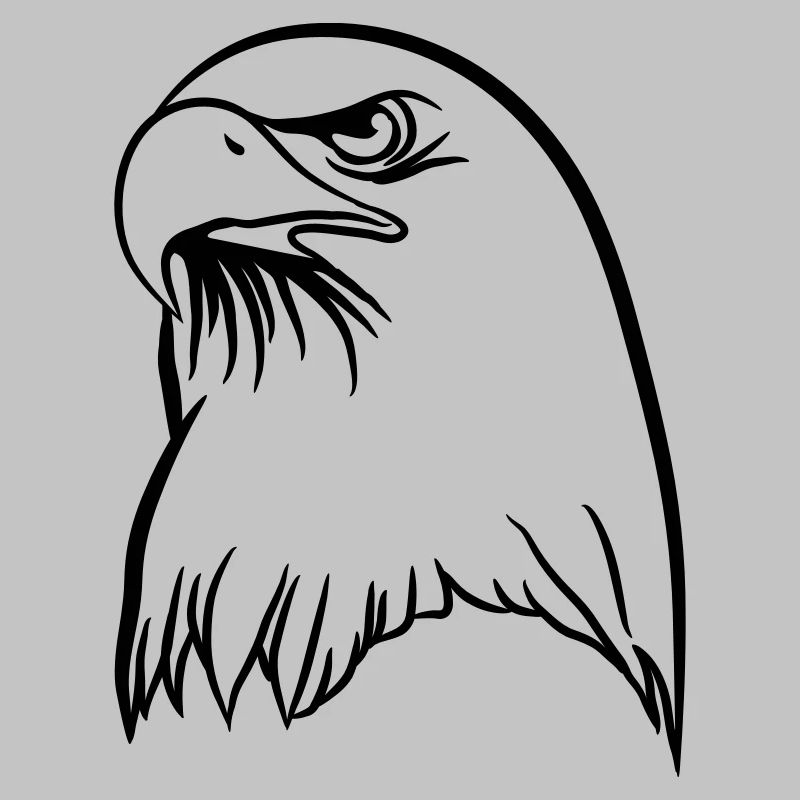 Eagle freedom