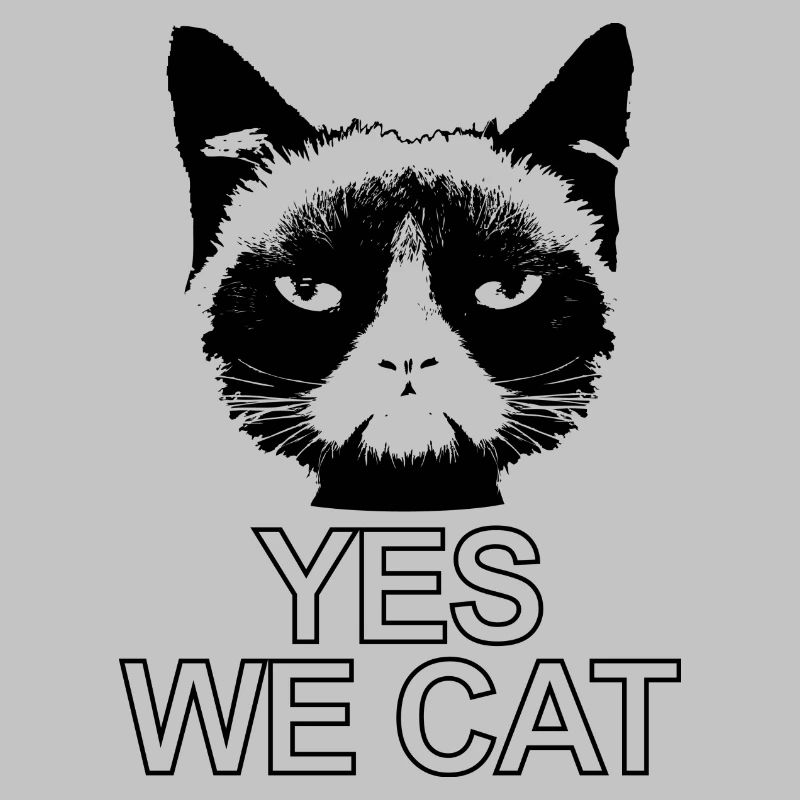yes we cat Katze böser Blick Kater Stubentiger