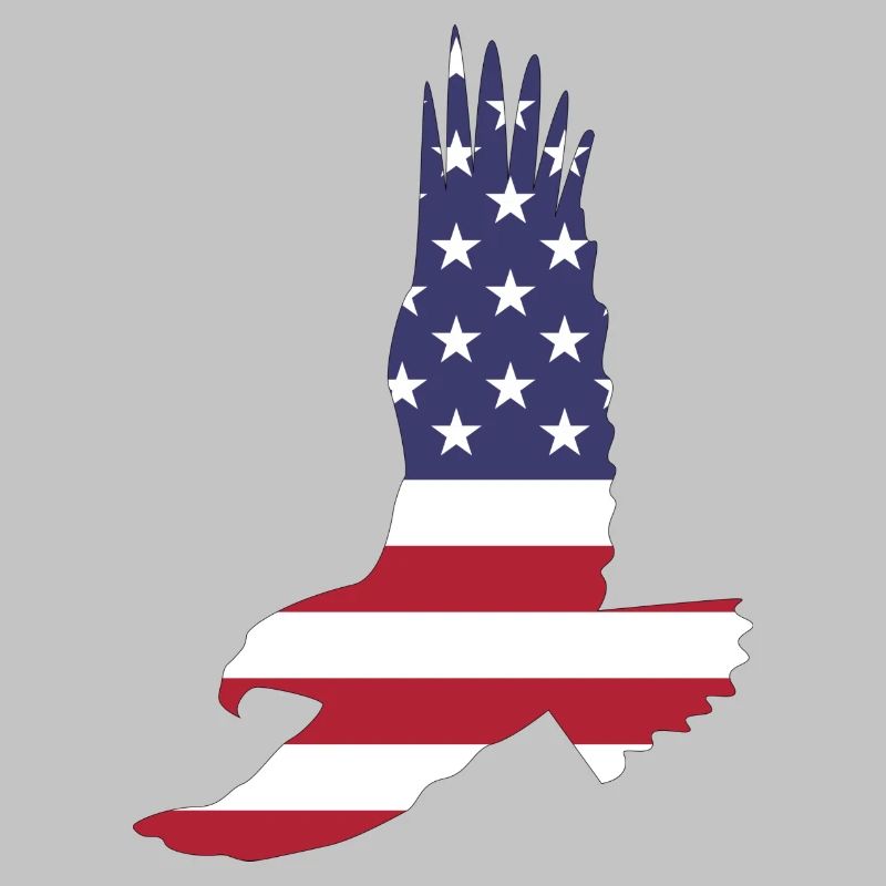 Amérique Etats-Unis Drapeau Stars and Stripes Eagle