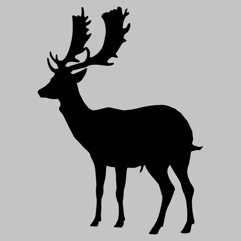 cerfs - bois de cervidé - la chasse - chasseur