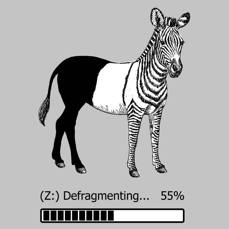 Defragmentiertes Zebra