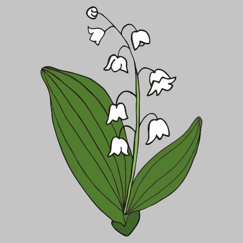 Muguet