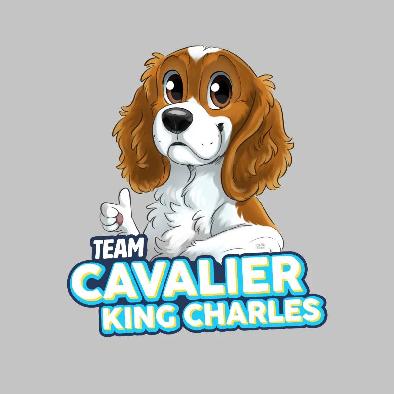 TEAM Cavalier King Charles - Blanc et Feu