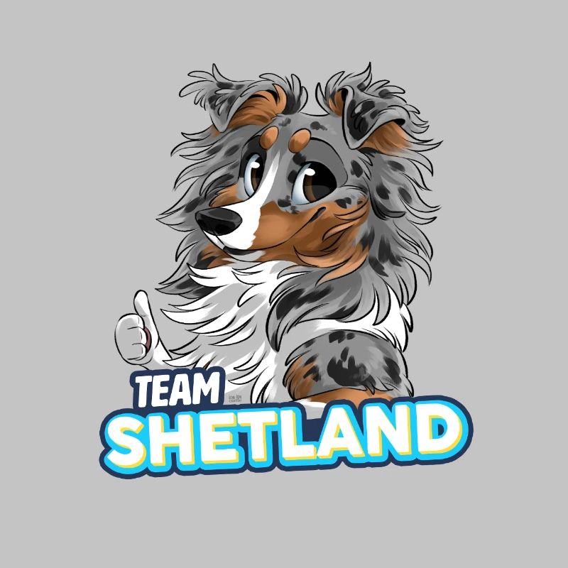 TEAM Shetland - Bleu Merle Tricolore