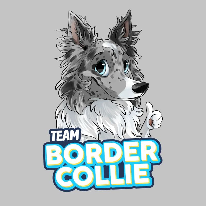 TEAM Border Collie Poils Longs - Bleu Merle