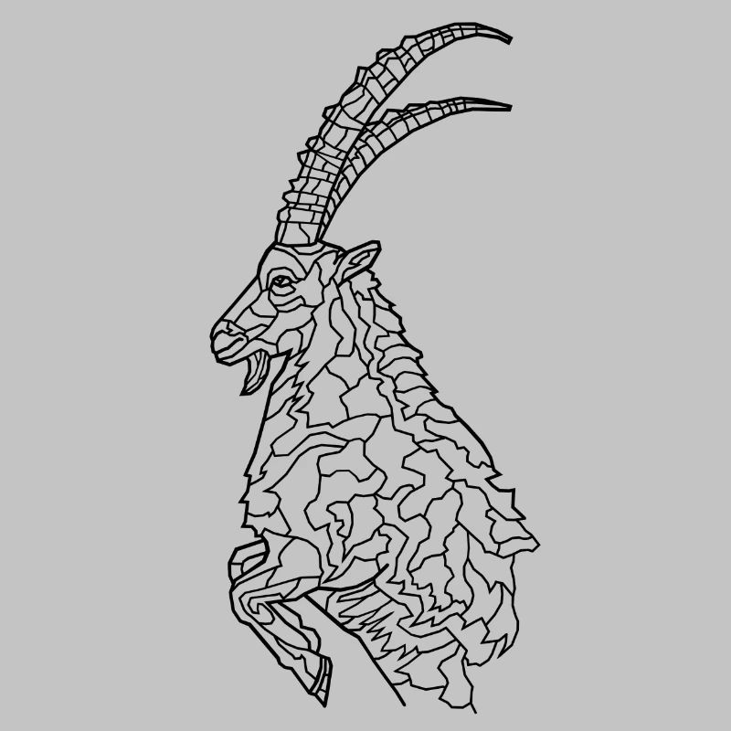 Capricorne