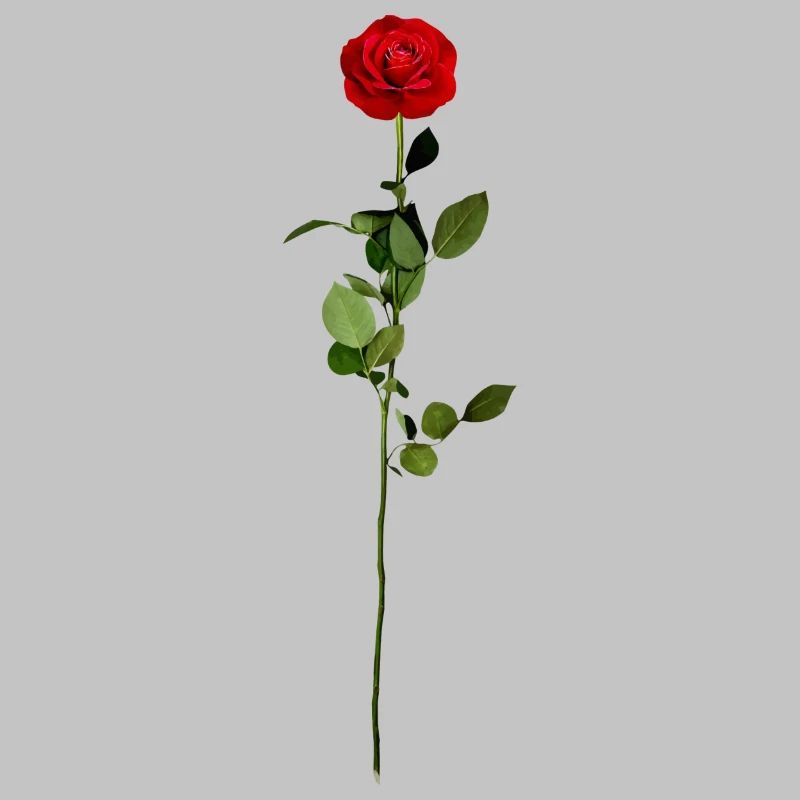 Rose mit Stiel
