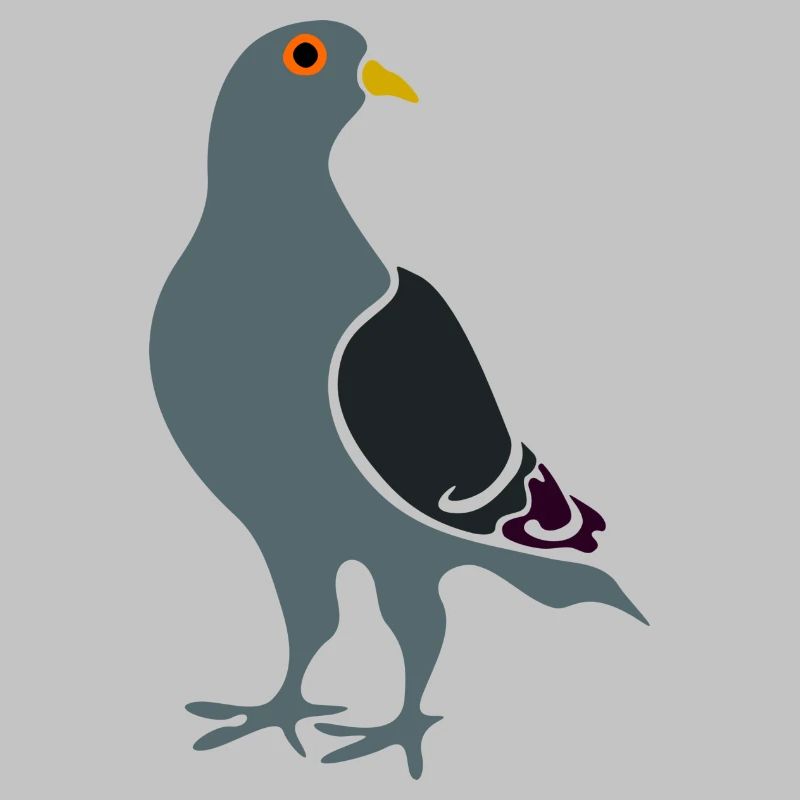 Gray pigeon