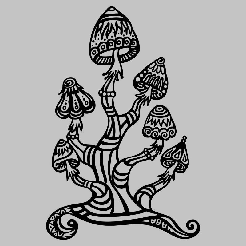 Magic mushrooms, wonderland, psychedelic, lsd