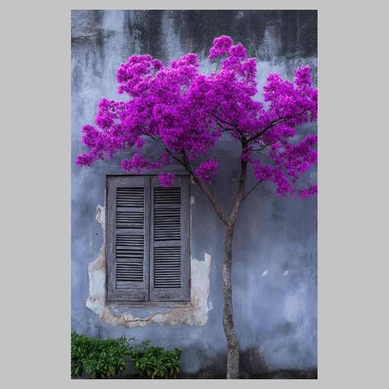 Fleur vibrante contre mur rustique