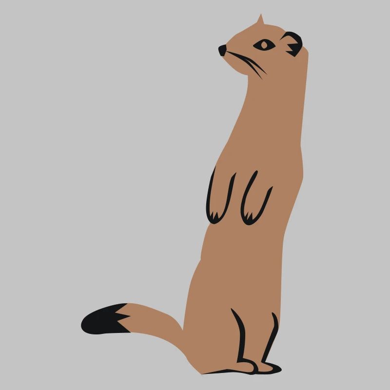Weasel - Ermine
