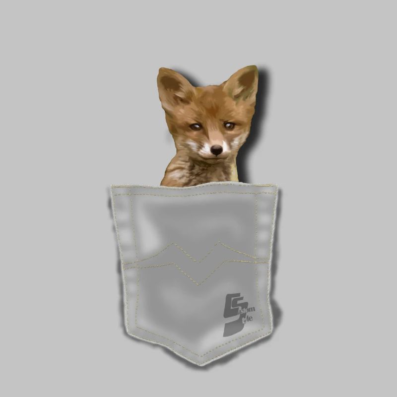 pocket fox by customstyle