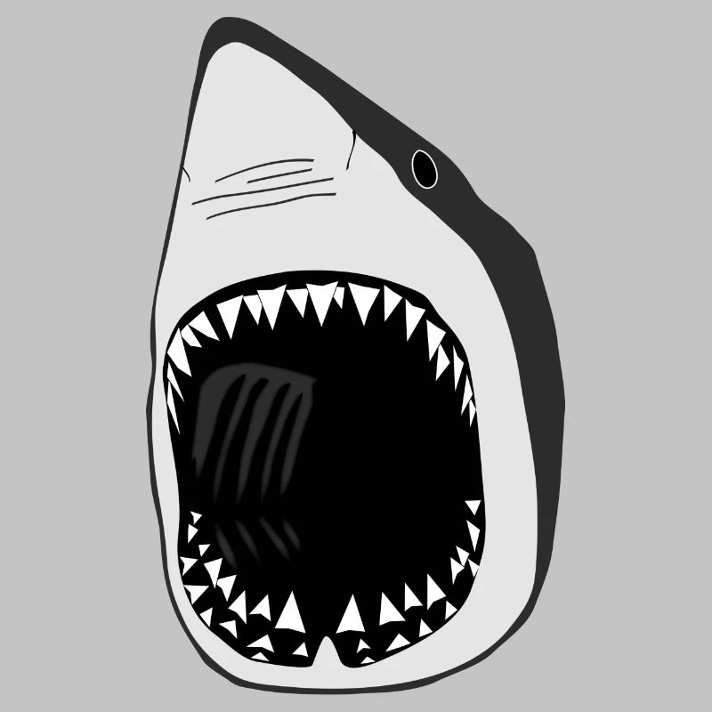 grand requin blanc squale poisson plongée