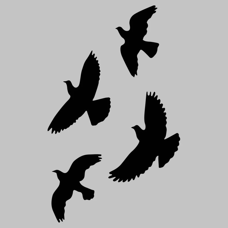 oiseaux