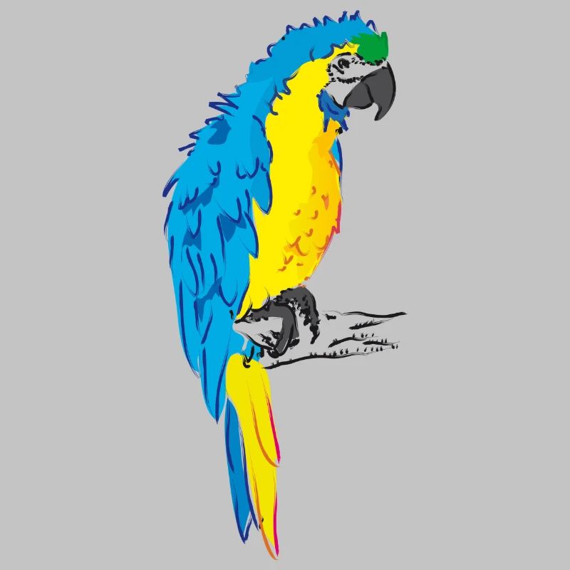 Ara perroquet jaune, dessin bleu