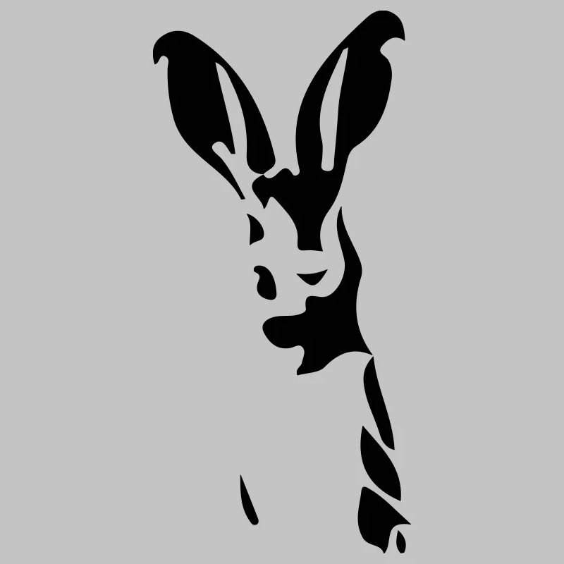 Hase